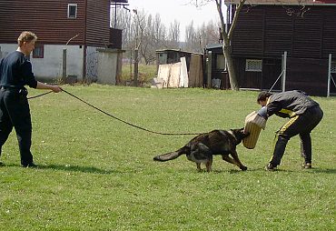 Vod�tko m� b�t p�i boji prov�en�...