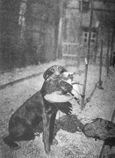 "Dora Litomyšl" s prvou kořistí se země sebranou a přinesenou.