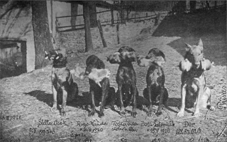 Tři spolehliví přinášeči a dva učenníci