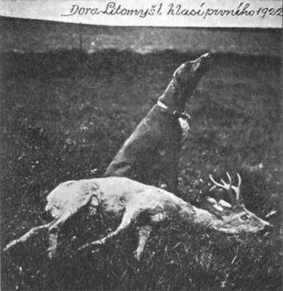 Dora hlásí prvního - 1922