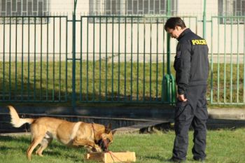 Uk�zka vyhled�n� omamn�ch l�tek