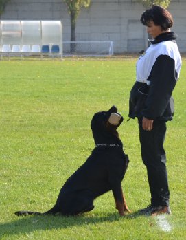 Zuzana Marthalerov� a Osiris Ballotada