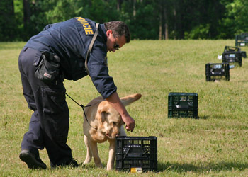 Vyhled�n� v zavazadlech...