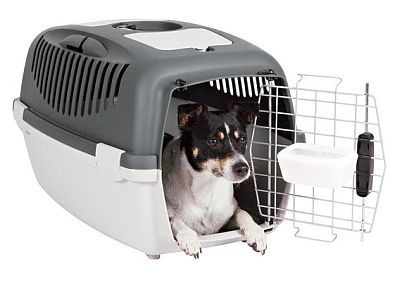 přepravkapro psy s certifikátem IATA