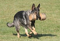 Val��k�v memori�l 2012 - foto (c) Tom� Lipus