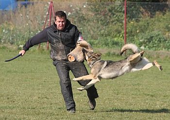 Val��k�v memori�l 2012 - foto (c) Tom� Lipus