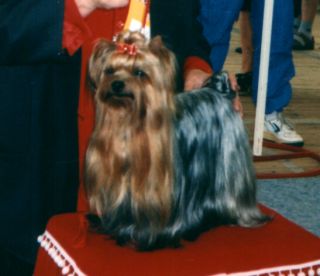 I. CH. Fant�sia Delle Antiche Mura